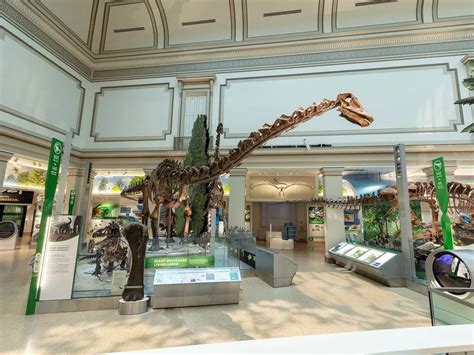 Binzhou Dinosaur Museum – En djupdykning i förhistoriskt Kina och äventyrlig upptäckt!