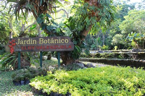  Jardín Botánico de Bucaramanga! En Oas av Grönska och Botanisk Skönhet