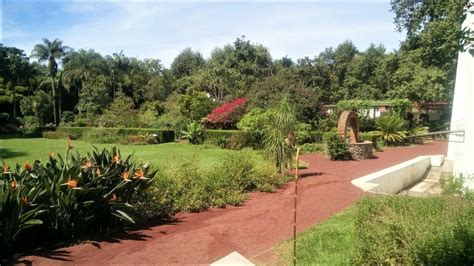  Jardín Botánico de Xalapa: En frodig oas i hjärtat av Veracruz!