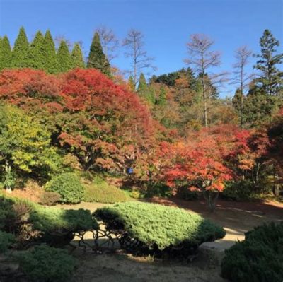  Lushan botaniska trädgård - En oas av lugn mitt i naturen och en kalejdoskop av färger!