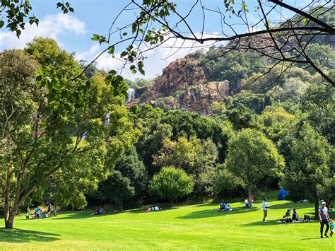  Walter Sisulu National Botanical Garden: En fridfull oas mitt i Johannesburg's brus!