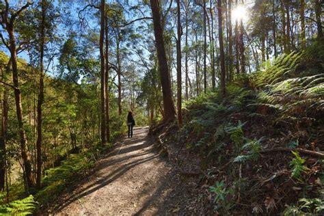 Wanyao Ecological Park – Ett berg av natur och ett hav av färger!