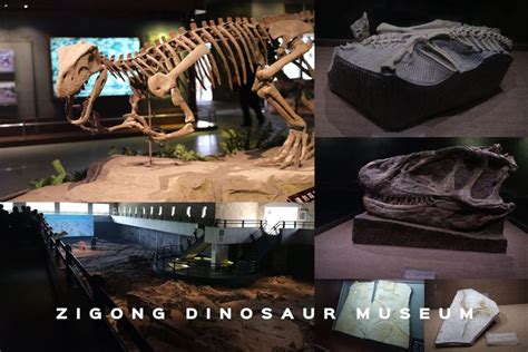 Zigong Dinosauriermuseet: Ett Äventyr I En Förhistorisk Värld!